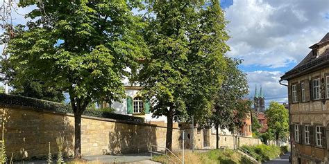 Bamberger Protestieren Gegen Baumf Llaktion Stadt Will Kastanienallee