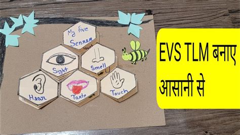 My Five Senses EVS TLM EVS TLM For Primary Class Science TLM For