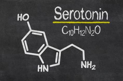 Sertralina Para Qu Sirve Efectos Positivos Y Dosis Psicologistica