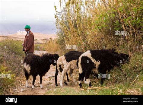 Maroc Rural Habitat Moroccan Banque De Photographies Et Dimages à