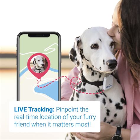 Tractive GPS Pet Tracker | Dog Gadgets Store