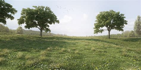 Meadow 10 Ronen Bekerman 3d Architectural Visualization