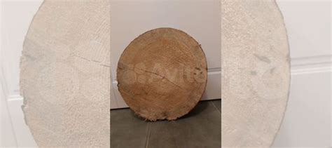 Спил дерева 37 см диаметр 1шт в остатках купить в Москве с доставкой ...
