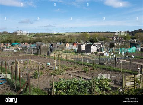 Community Allotments Uk High Resolution Stock Photography And Images