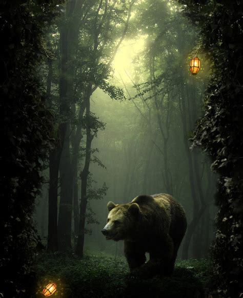 Fantasy Forest Bear by Storms-Stock on DeviantArt