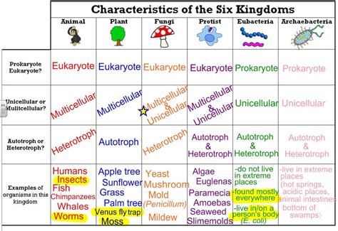 Organism Classification Chart Sexiz Pix