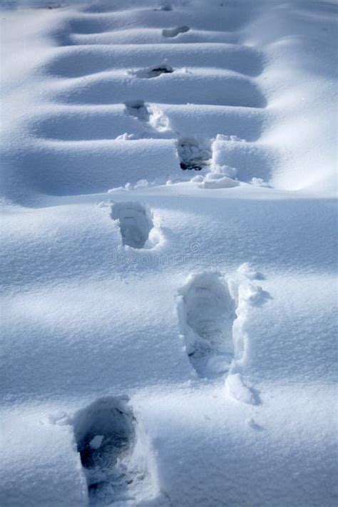 Pegadas Na Neve Que Levavam Um Caminho Ao Lado De Uma Casa No Inverno