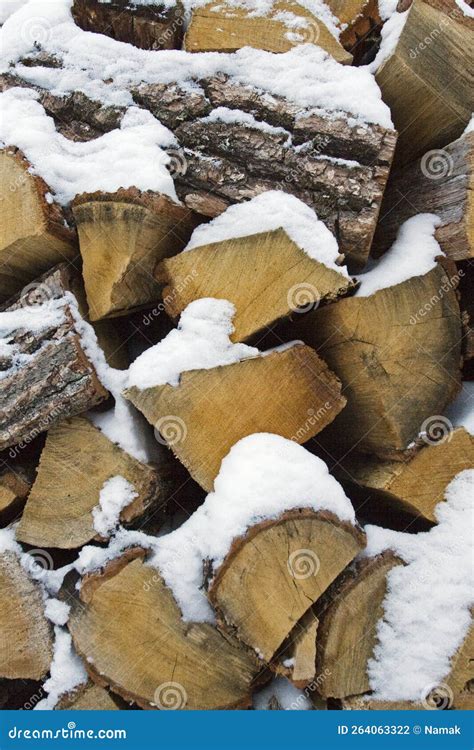 Oak Firewood Covered With Snow Seasons Vertical Stock Photo Image Of