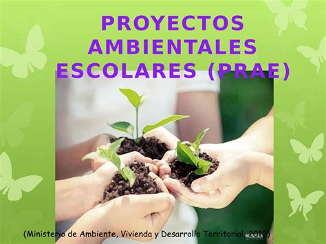 Calaméo Proyectos Ambientales