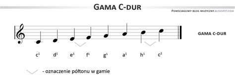 Napiszę Każdą Nutę Gamy C Dur I Opiszę Jej Położenie Kochani Błagam