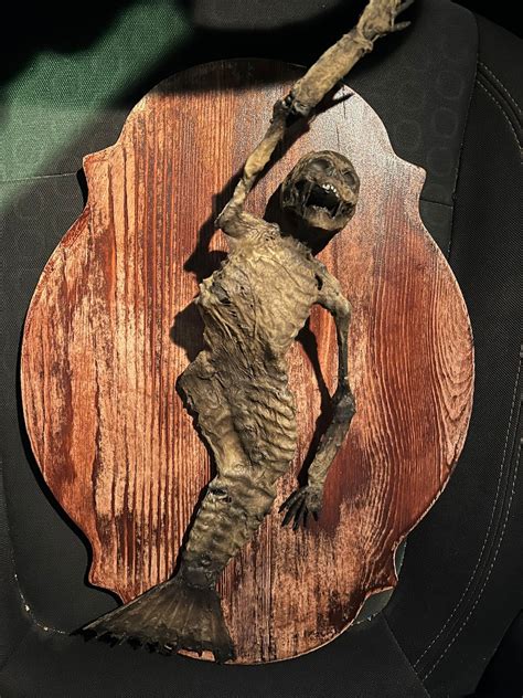 Mummified Mermaid Etsy