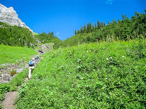 Sarrail Ridge Hike In Kananaskis Travel Banff Canada