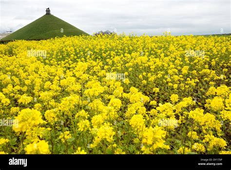 Battlefield Command Positions Hi Res Stock Photography And Images Alamy