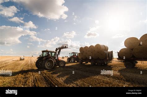 A Tractor Collecting Straw Bales In A Harvested Field Stock Photo Alamy