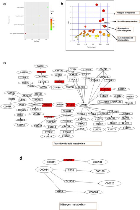 Integrated Transcriptomic And Metabolomic Analyses Of P53 Dependent