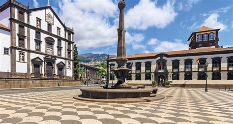 madeira tours trips  tourradar