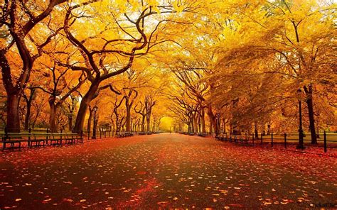 Anime Scenery Autumn Wallpapers - Wallpaper Cave