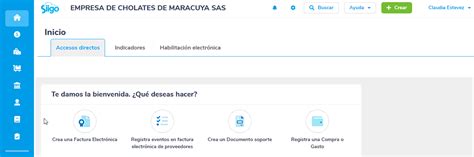 Registro Comprobante Contable Portal De Clientes Siigo Software