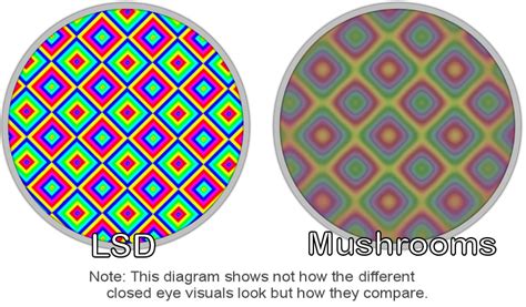 LSD: LSD Mental Effects