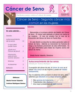 Boletín Cáncer de Seno PDF Descarga Gratuita