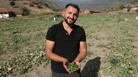 Atanamayıp iş bulamayınca diplomalı hıyarcı oldu Haber3