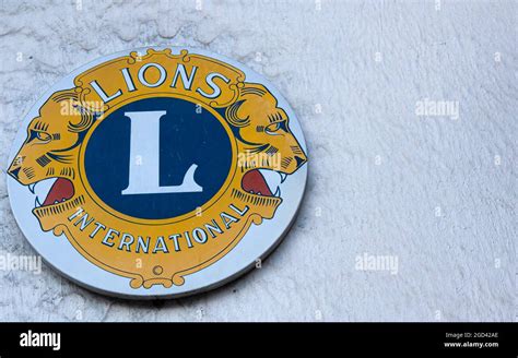 Top 40 Imagen Logo Club De Leones Vectorizado Abzlocal Mx