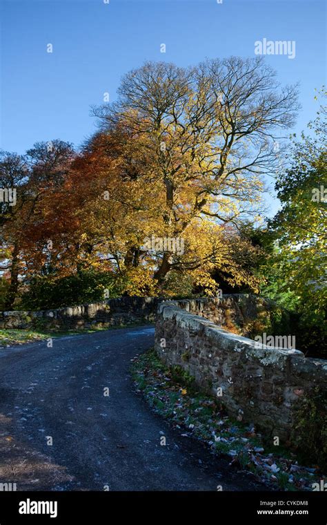 West Burton Bridge River Crossing West Burton Autumn Upper