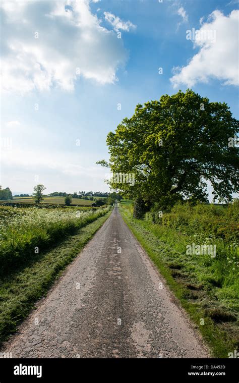 Long Country Road Stock Photo Alamy