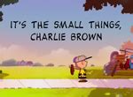 Snoopy Presents It S The Small Things Charlie Brown 2022 TV Show