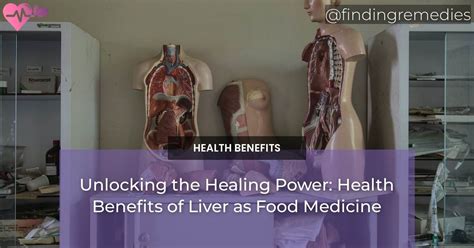 Unlocking The Healing Power Health Benefits Of Liver As Food Medicine