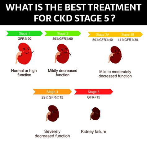 Ayurveda Treatment CKD Stage 5 is Natural, Effective & Safe | Lifehack