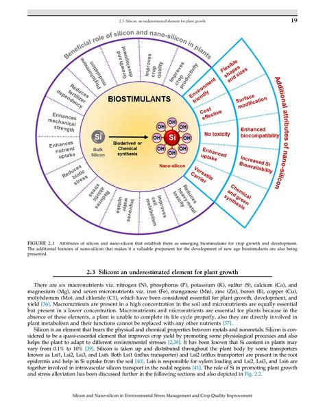 SOLUTION Chapter 2 Silicon And Nano Silicon New Frontiers Of