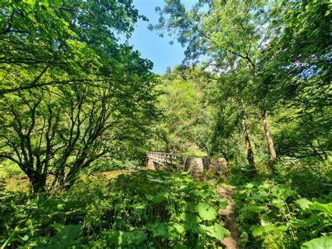 Tideswell Dale Millers Dale Monsal Trail Walk 7 Mile Route Peak