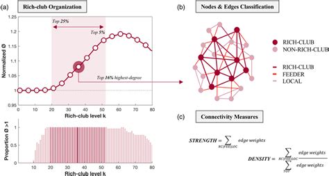 Schematic Representation Of The Rich‐club Analysis First Rich‐club