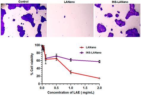 Human Lung Cancer Cell Lines Calu Atcc Bioz