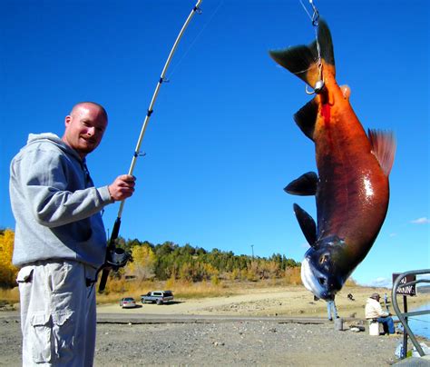 Heron Lake Salmon Snagging 2024 - Ebony Gweneth