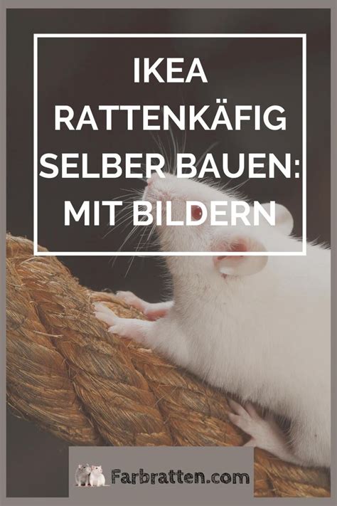 Ikea Rattenkäfig selber bauen | Rattenkäfig, Ratte, Käfig