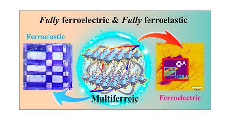 Experimental Observation Of The Fully FerroelectricFully Ferroelastic