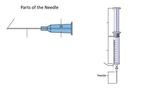 Nur 101 Syringe Needle Parts Diagram Quizlet