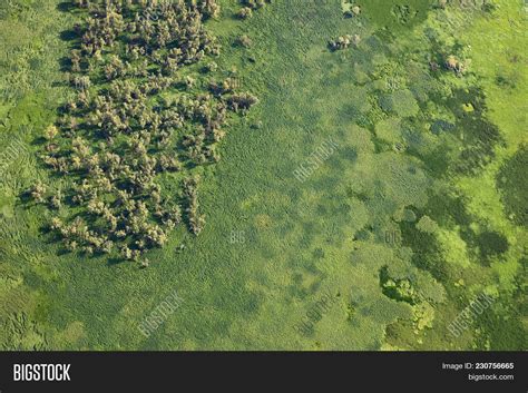 Aerial View Meadow Image & Photo (Free Trial) | Bigstock