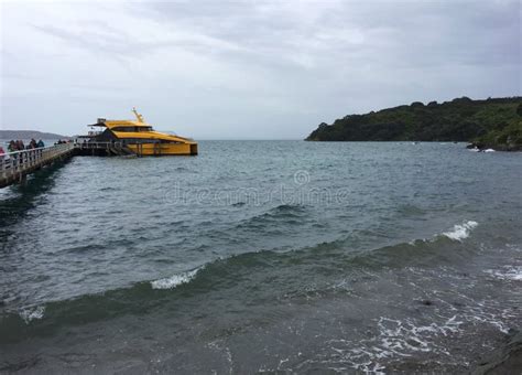 Tiritiri Matangi Island Ferry, Hauraki Gulf, New Zealand Editorial Photo - Image of habitat ...