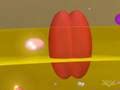 Electron transport chain and Oxidative phosphorylation Animation ...