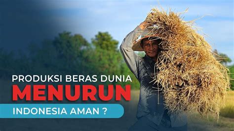 Produksi Beras Dunia Menurun Youtube