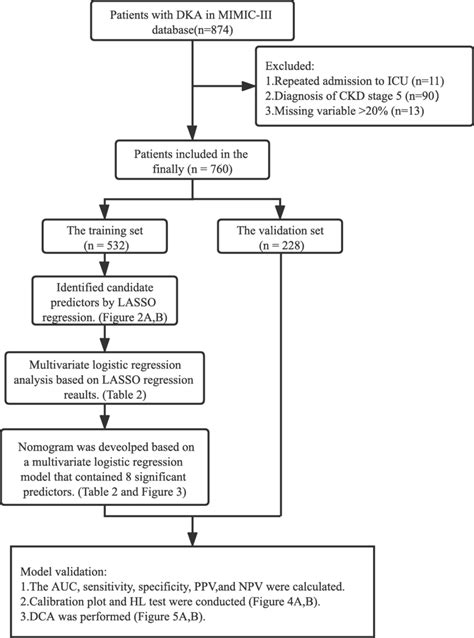 Dka Flowchart