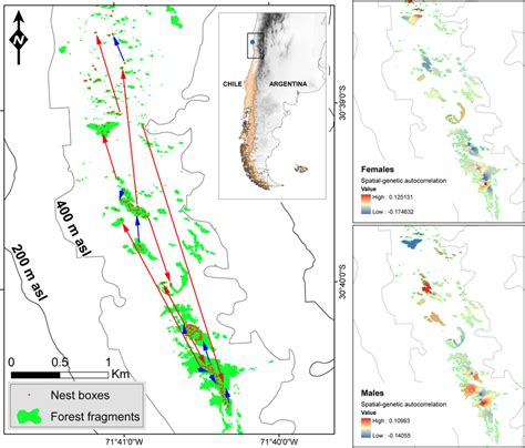 Sex‐specific Local Dispersal Patterns And Resulting Fine‐scale Genetic Download Scientific