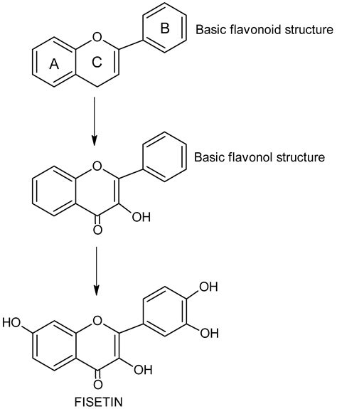 Nutrients Free Full Text Fisetin A Potent Anticancer Flavonol