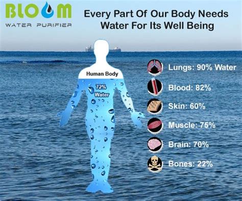 Every Part Of Our Body Needs Water For Its Well Being… Our Body Body