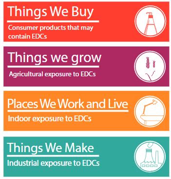 Endocrine Disrupting Chemicals Edcs Infographics Unep Un