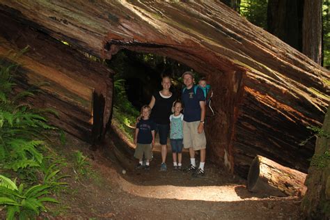 oregon coast   california redwoods  awesome camping spots