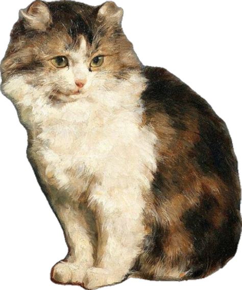 Charles Van Den Eycken In 2024 Cats Illustration Vintage